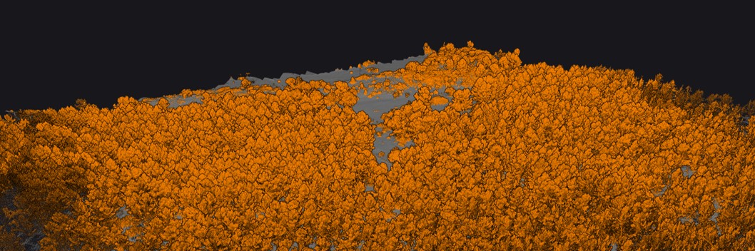 Mapper Ultra Forest Classification